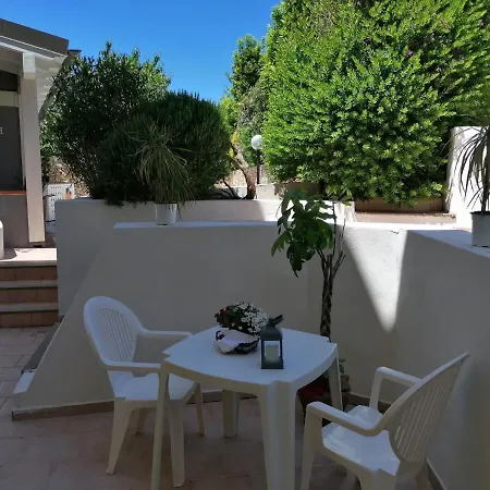 Le Palme Holidays *