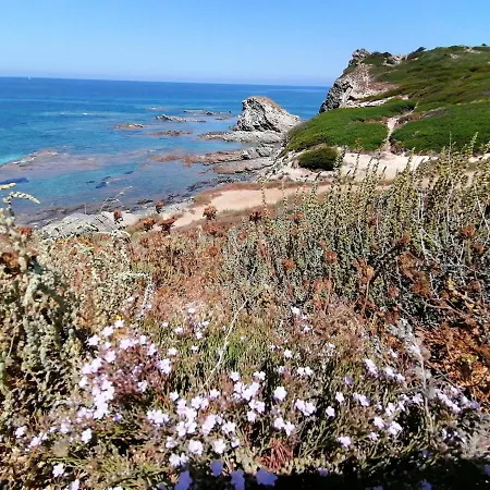 Le Palme Holidays *