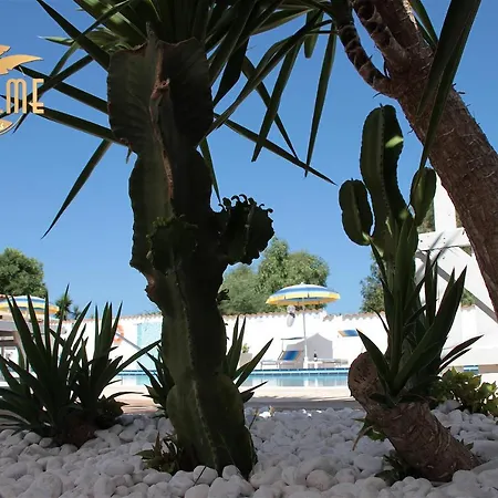Le Palme Holidays