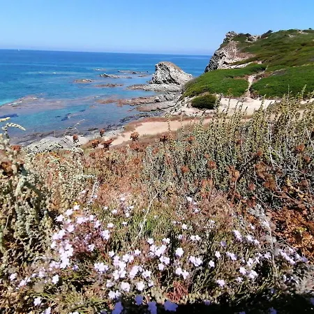 Le Palme Holidays *