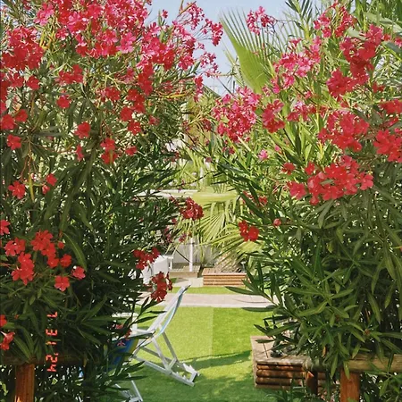 Apartment Le Palme Holidays Palmadula