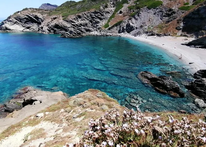 Le Palme Holidays アパート